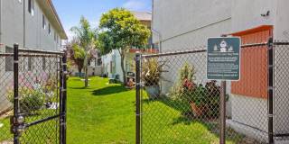 Bay Laurel Gallery 21