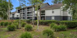 Lake Forest Gallery 2
