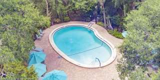 1255 E PEPPERTREE DRIVE Gallery 22