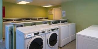 Central Pointe Gallery 10