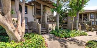 9 Madrona Gallery 31