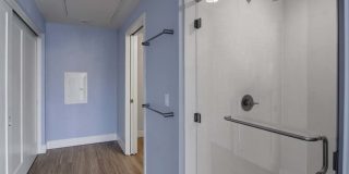 The Pacific Gallery 11