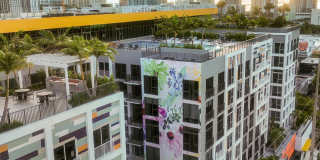 AMLI Wynwood Gallery 33