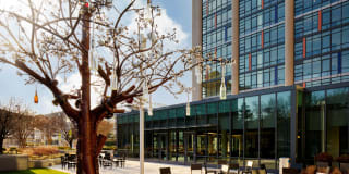 Park + Ford Apartments Gallery 69