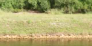 24 Hastings Lane Gallery 16