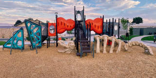 Fossil Cove Gallery 26