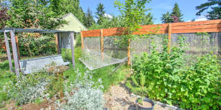 West Olympia 2bd 1 bath Cottage Rambler with Garden Space Gallery 23