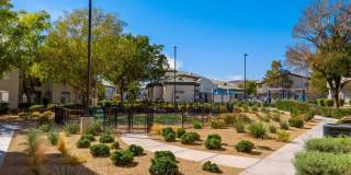 REVERB at Spring Valley Gallery 42