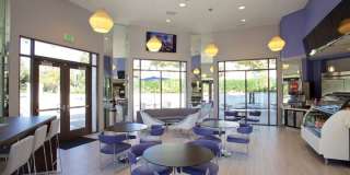 Torrey Gardens Gallery 33