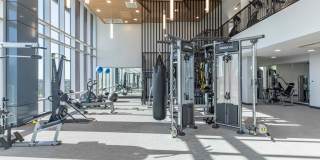 Live Grandscape Gallery 16