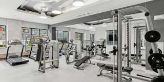 Omnia at Town Center Gallery 12