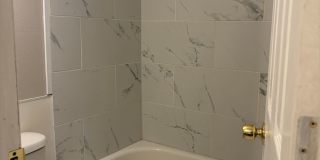 1 Bed 1 Bath in Littleton Gallery 9