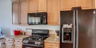 8250 RED CARNATION Court Gallery 21