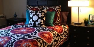 The Grove at Davis Gallery 8