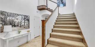80 Lupari Gallery 15