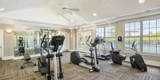 Willow Grove Gallery 16