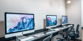 Courtland Park Gallery 15