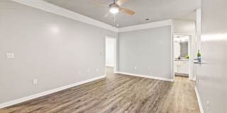 Olympus Fenwick Gallery 10