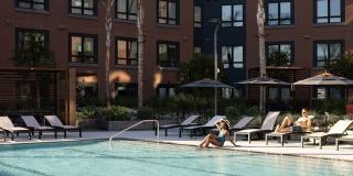 Orlo & Alba Gallery 4