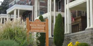 Wayne Walnut Gallery 2
