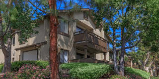 Spring Lakes Apartment Homes Gallery 27