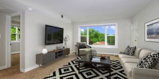 Haven Columbia Pike Gallery 1