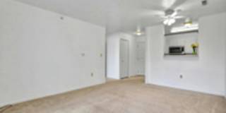 338 West Saginaw Street Gallery 10