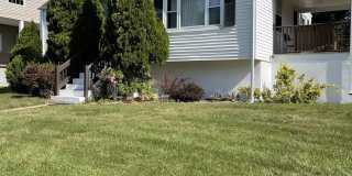 17 Clarence Avenue Gallery 4