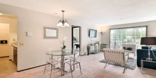 New Fountains Gallery 12