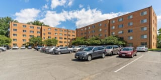 Wood Lee Arms Gallery 49