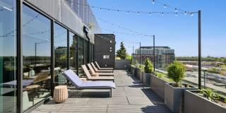Ledger Union Market Gallery 17