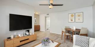 Rise at the Palms Gallery 38