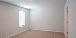 123 Painted Lady Loop Gallery 17