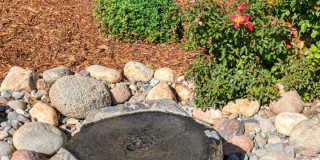 Mid Century Modern Home in Town Gallery 53