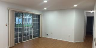 158 Darwin Lane Gallery 1