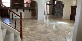 1632 Yellow Tulip Pl Gallery 2