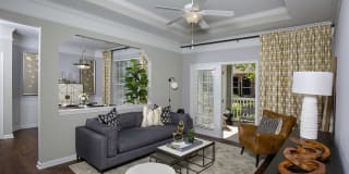 Lake Clearwater Gallery 17