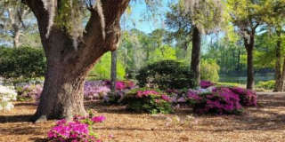1016 Tidings Road Gallery 25