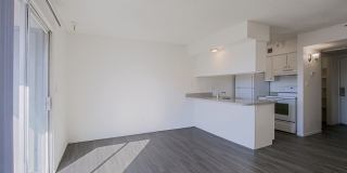 Paloma Village Gallery 9