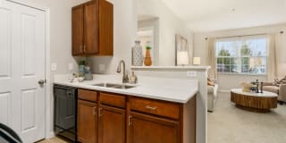 Northpark Place Gallery 27