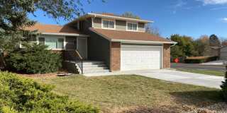 Spacious West-Side Tri-Level Home Gallery 4