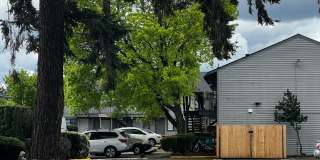 Willamette Green Apartments Gallery 22