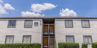 The Borough Gallery 11