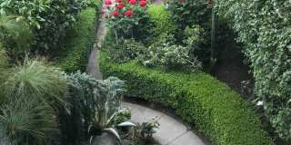 234 Guerrero Street Gallery 18