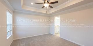 411 Coconut Lane Gallery 10