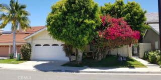 91 Nighthawk 91 Nighthawk Gallery 1