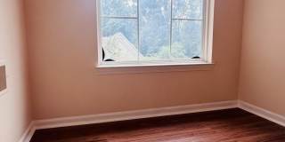 37572 Newburgh Park Circle 37572 Newburgh Park Circle Gallery 19
