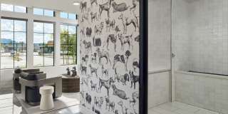 AVE Paradise Valley Gallery 31