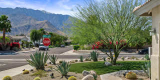 1502 Amelia Way Gallery 70