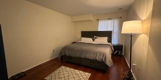 181 WYNDHAM Place Gallery 11